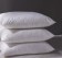 Comodo 五星級雲品科技纖維可水洗對枕(二入)